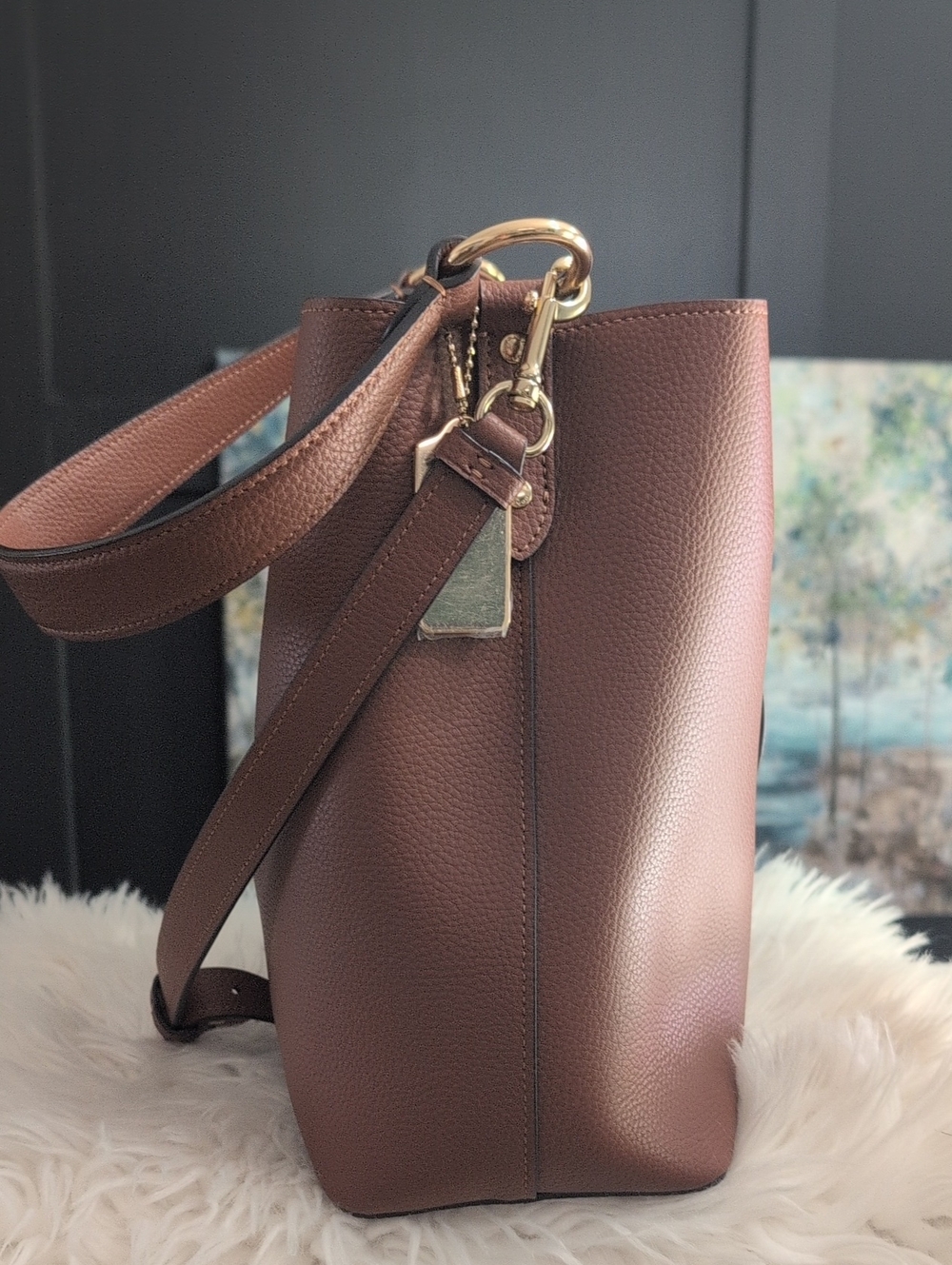 COACH Town Bucket Bag (Like New) - Picture 6 of 10